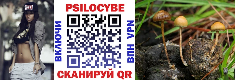 Галлюциногенные грибы Psilocybine cubensis  Купить закладки  Мглин 